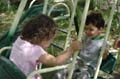 swingers