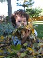 leaf-fun2